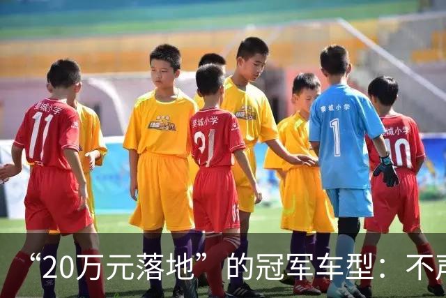 “20万元落地”的冠军车型：不声不响，2026年前8个月已销13万台