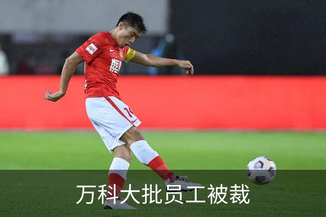 万科大批员工被裁