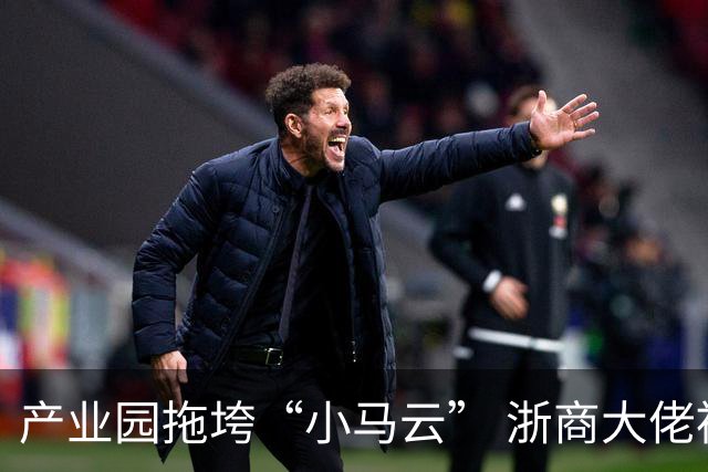 产业园拖垮“小马云” 浙商大佬被立案侦查