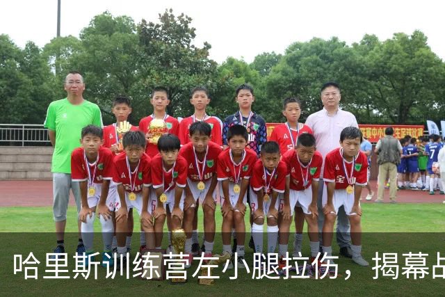 哈里斯训练营左小腿拉伤，揭幕战出战存疑