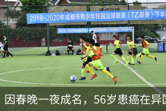 因春晚一夜成名，56岁患癌在异国离世，临终前才说出自己身世！