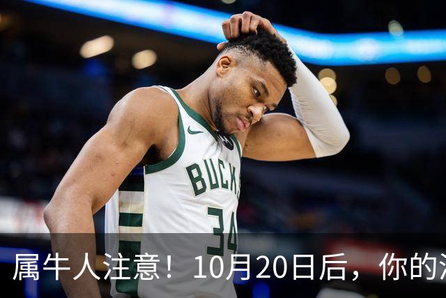 属牛人注意！10月20日后，你的清闲日子要暂时叫停了