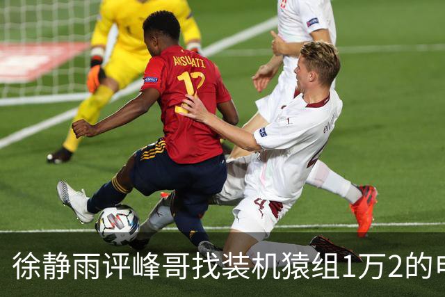 徐静雨评峰哥找装机猿组1万2的电脑：打游戏不够用！