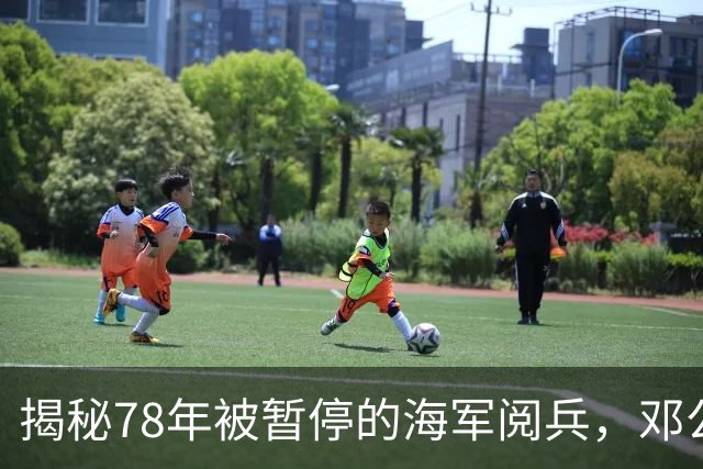揭秘78年被暂停的海军阅兵，邓公支持下罗瑞卿反对华国锋