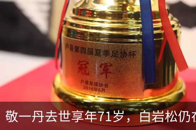 敬一丹去世享年71岁，白岩松仍在新闻一线：公众怀念的究竟是什么