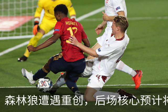 森林狼遭遇重创，后场核心预计将缺席两个月的时间？