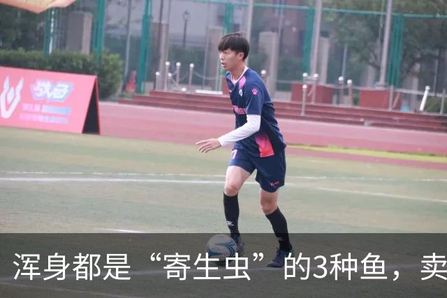 浑身都是“寄生虫”的3种鱼，卖鱼商贩都不敢吃，白送也千万别要