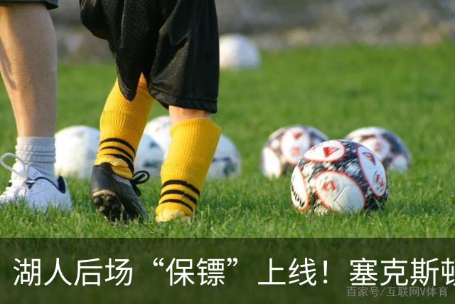 湖人后场“保镖”上线！塞克斯顿为东里组合减压