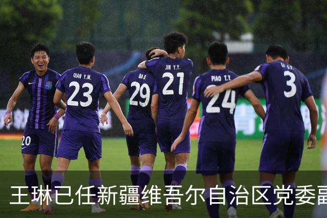 王琳已任新疆维吾尔自治区党委副书记