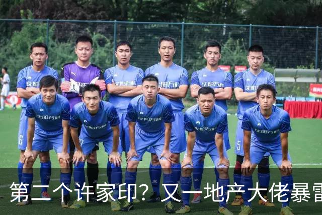第二个许家印？又一地产大佬暴雷，涉案超200亿，现已被立案调查