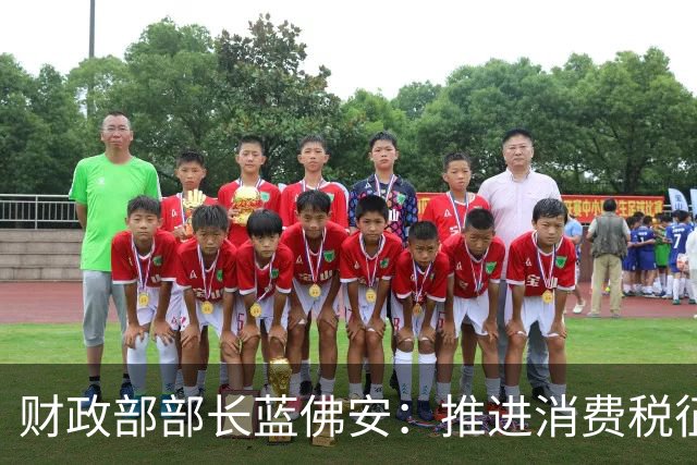 财政部部长蓝佛安：推进消费税征收环节后移并稳步下划地方、地方附加税改革等 支持地方拓展税源