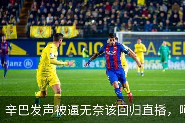 辛巴发声被逼无奈该回归直播，呵斥ks平台搞虚假繁荣
