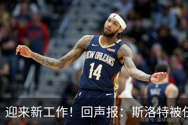迎来新工作！回声报：斯洛特被任命为欧足联技术观察组成员