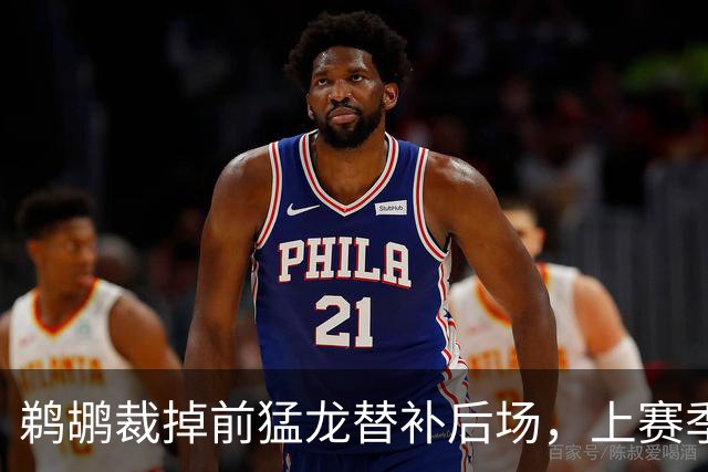 鹈鹕裁掉前猛龙替补后场，上赛季他在欧洲赛场的表现非常一般？