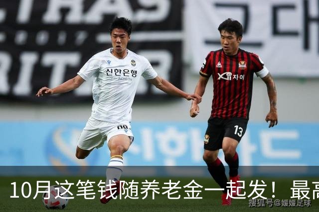 10月这笔钱随养老金一起发！最高4563元，你家那边能领吗？