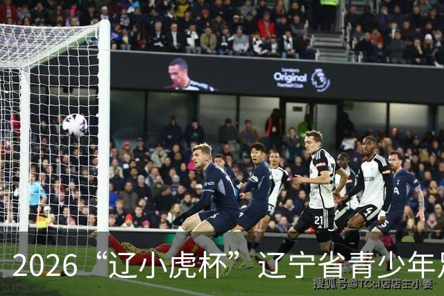 2026“辽小虎杯”辽宁省青少年足球精英赛暨全省足球青训中心秋季赛预选赛顺利落幕